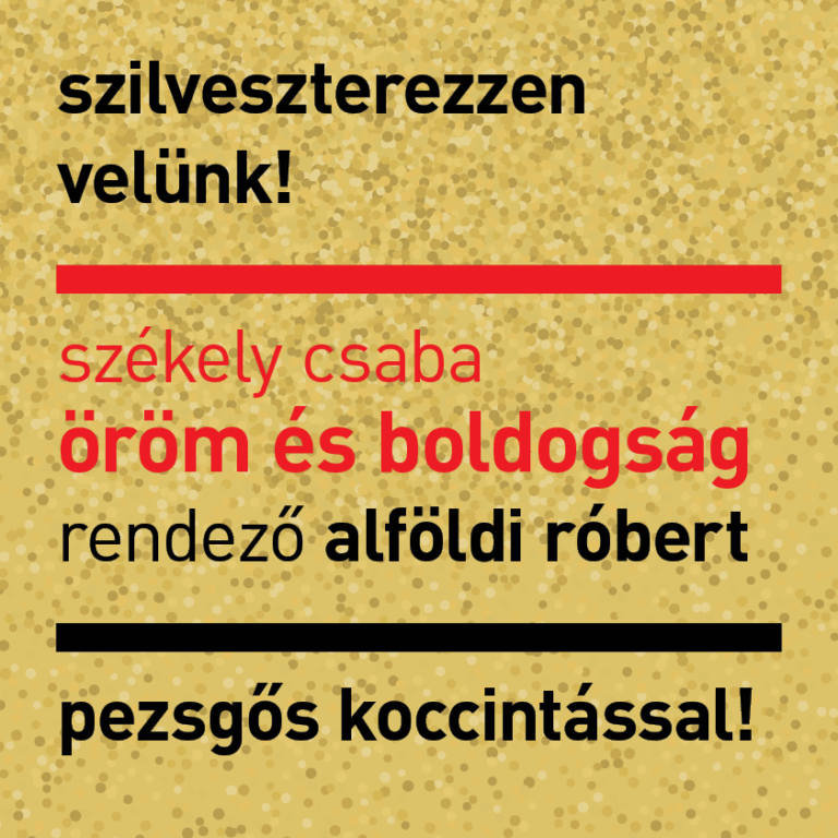 Szilveszterezz velünk! Székely Csaba Öröm és boldogság című darabja látható Alföldi Róbert rendezésében. Pezsgős koccintással várunk!