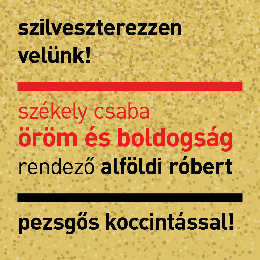 Szilveszterezz velünk! Székely Csaba Öröm és boldogság című darabja látható Alföldi Róbert rendezésében. Pezsgős koccintással várunk!